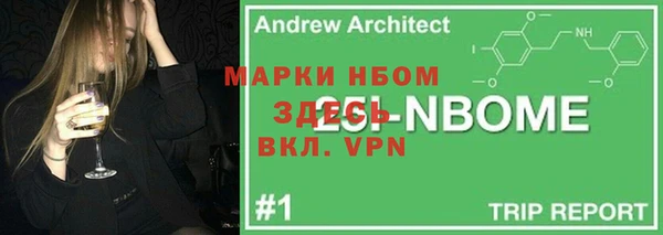 индика Приозерск