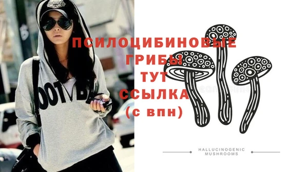 а пвп мука Аркадак