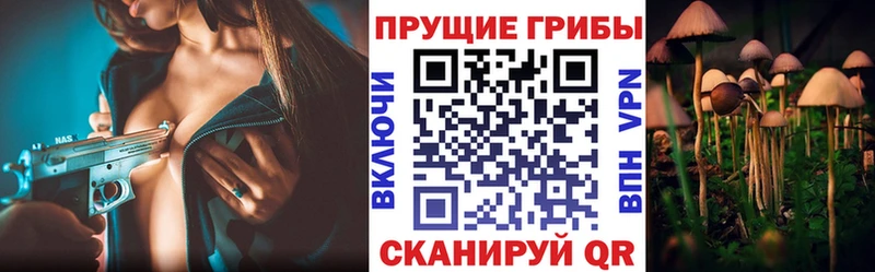 гидра как зайти Кубинка Псилоцибиновые грибы прущие грибы